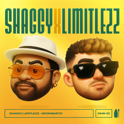 LIMITLEZZ & SHAGGY - BOOMBASTIC
